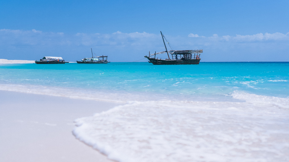 9 Days Safari & Beach