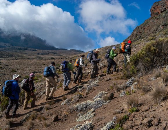 8 Days Lemosho Route