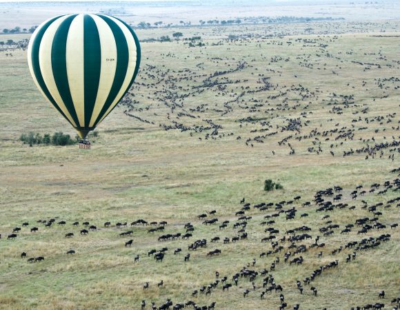 5 Days Tanzania Safari