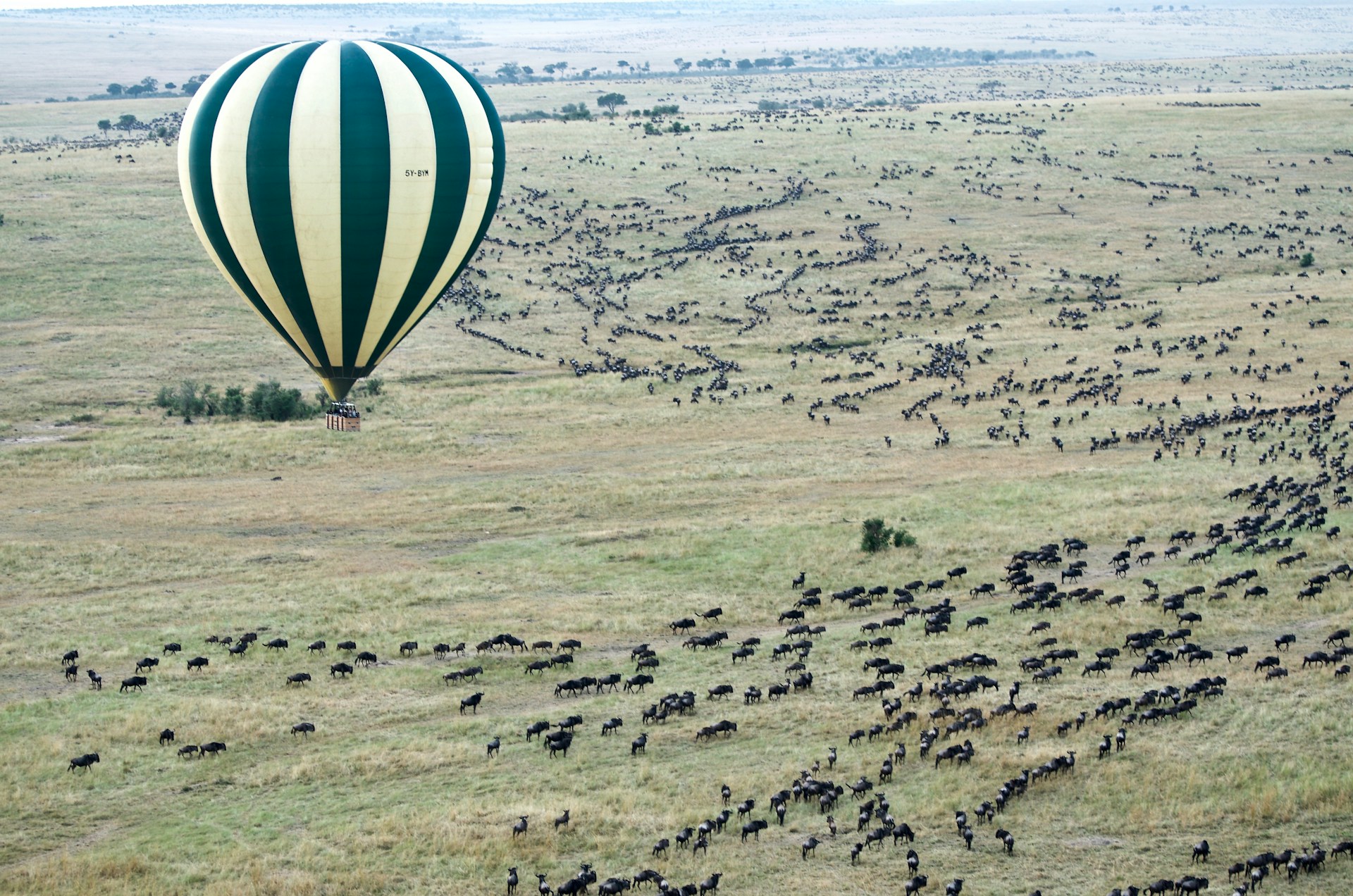 5 Days Tanzania Safari