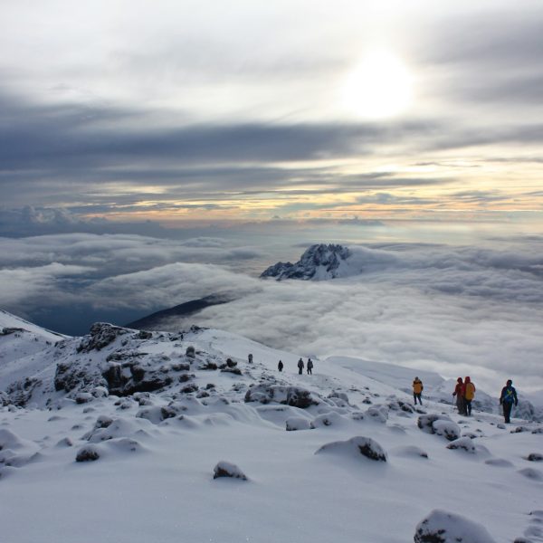 7 Days Lemosho Route