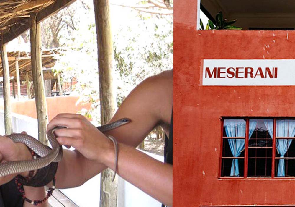 Meserani Snake Park